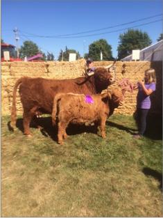 Paige & Edie Cow/Calf Champion